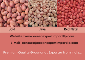 Premium Quality Groundnut Exporter from India.