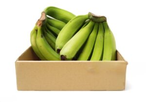 Indian Banana Exporter