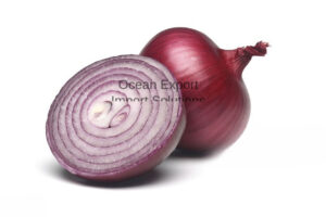 Indian Onion Exporter