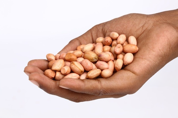 Indian Peanut Supplier